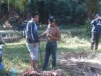 Personel-Polsek-Bambalamotu-saat-menginterogasi-terduga-pencurian-sawit-di-Pasangkayu